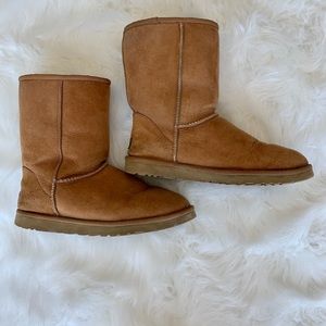 Chestnut UGG Boots